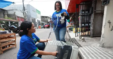 Desde o início da operação na Feira da Prainha, no mês de junho, 24 gatos já foram resgatados.
