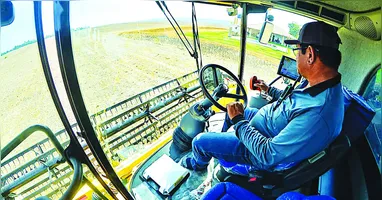 Dentre os setores econômicos, a agropecuária teve o maior destaque participativo, contribuindo com 4,2% da produção nacional