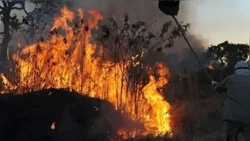 Os aprovados terão auxílio mensal de até R$ 3.036 e carga horária de 44 horas semanais.