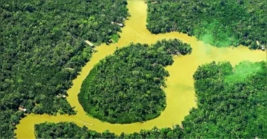 Projeto irá aproximar os leitores dos debates fundamentais sobre o futuro da Amazônia