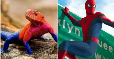 Lagarto Homem-Aranha