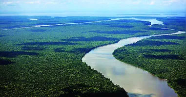 Pará segue avançando no combate ao desmatamento com planejamento e integração de esforços