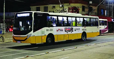 Proposta foi aprovada na Alepa e agora segue para sanção do governador