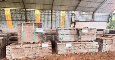 Segundo a secretaria, todo o valor arrecadado será destinado ao fortalecimento das políticas públicas ambientais