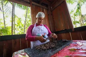 Com respeito aos saberes tradicionais e à diversidade sociocultural amazônica, as empreendedoras paraenses movimentam cadeias produtivas do Pará