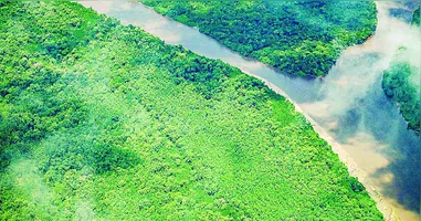 Uso de tecnologias, condições climáticas favoráveis e presença do Governo do Estado tornaram Pará destaque