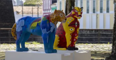 Onças-pintadas vão colorir Belém.