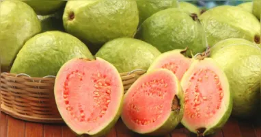 A molécula da goiaba e seu impacto na oncologia