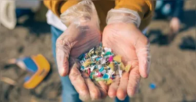A contaminação da cadeia alimentar e seus impactos