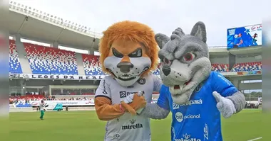 Entre todos os clubes das Séries A e B do Campeonato Brasileiro, apenas Remo, Paysandu e Amazonas ainda não cumpriram essa exigência