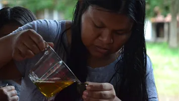 Os povos originários são responsáveis por um terço da proteção ambiental no Brasil