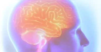 Acidente vascular cerebral (AVC) é uma das principais causas de morte e incapacidade no Brasil, com uma morte a cada 6,5 minutos.