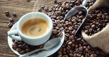 Com as dicas certas, cada xícara pode se transformar em uma experiência memorável.