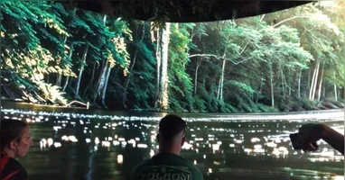 The Town tem espaço imersivo que transporta os visitantes para o coração da Amazônia.