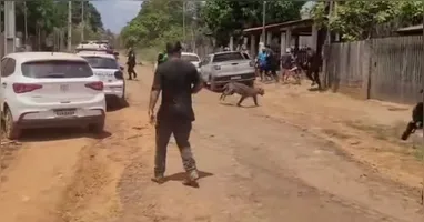 Morador ficou ferido ao tentar afastar animal de creche