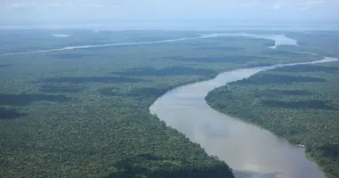 Menor índice de alertas de desmatamento em agosto evidencia avanços nas políticas ambientais do Pará.