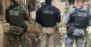 Investigado liderava grupo com atuação interestadual há 20 anos