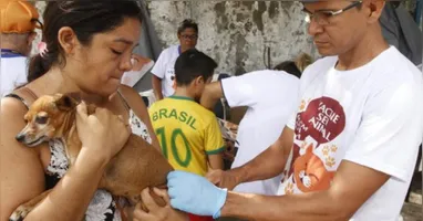 O objetivo da ação é sensibilizar permissionários, consumidores e tutores de animais sobre a importância da guarda responsável