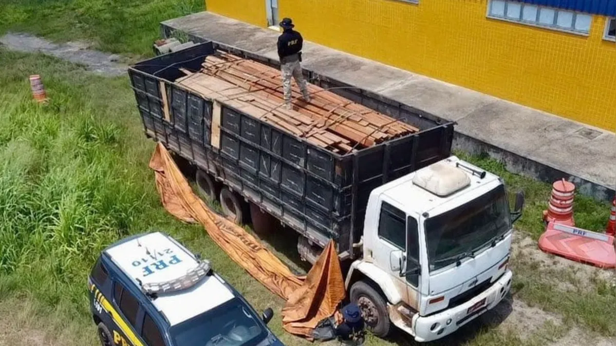 Imagem ilustrativa da notícia Madeira ilegal é apreendida pela PRF na BR-163, em Santarém