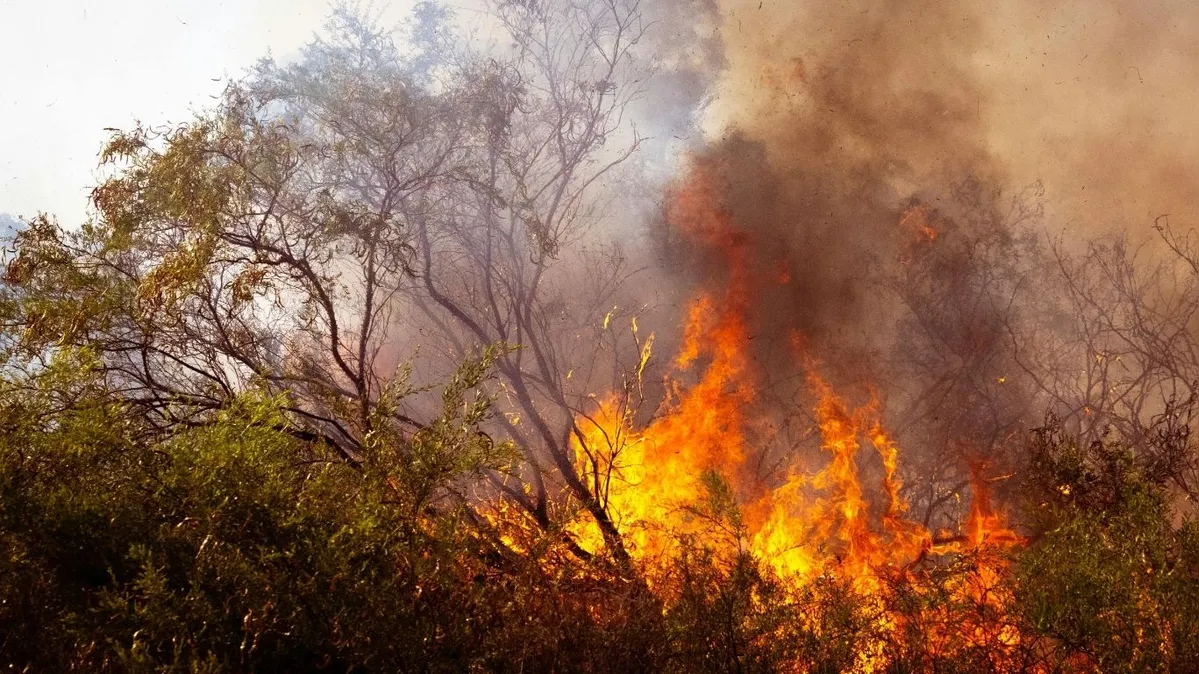 Imagem ilustrativa da notícia Bombeiros reforçam equipes para conter queimadas em Marabá