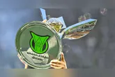 É dia de Brasileirão!