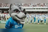 Paysandu enfrenta crise na Série B e acumula 30 rodadas no Z-4 após empate com a Ferroviária