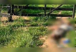 Homem é encontrado morto na travessa 1, no setor JP, em Ourilândia do Norte; vítima apresentava ferimento na cabeça e não tinha identificação.