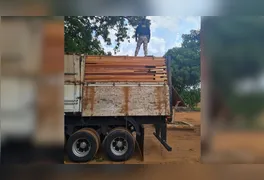 Durante a vistoria, os agentes constataram divergências entre o volume e a espécie declarada nos documentos florestais apresentados.