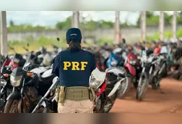 Os interessados terão a oportunidade de arrematar veículos classificados em diversas categorias, segundo a Superintendência da PRF