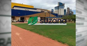 A distribuição das vagas pelo país evidencia o alcance nacional da Suzano e a necessidade de profissionais com diferentes perfis.