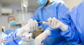 Avanços em transplantes renais: FDA aprova testes com rins de porcos geneticamente modificados, oferecendo esperança a pacientes com insuficiência renal.