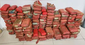 O laudo definitivo dos entorpecentes apreendidos será produzido no prazo de 10 dias úteis