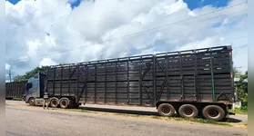 Carreta carregada de gado foi liberada após regularização
