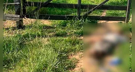 Homem é encontrado morto na travessa 1, no setor JP, em Ourilândia do Norte; vítima apresentava ferimento na cabeça e não tinha identificação.