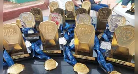 A competição é realizada anualmente em comemoração ao início da produção de aço no Pará.