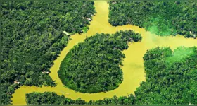 Projeto irá aproximar os leitores dos debates fundamentais sobre o futuro da Amazônia