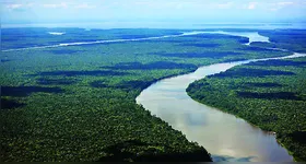 Pará segue avançando no combate ao desmatamento com planejamento e integração de esforços