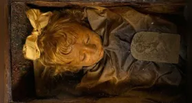 A pequena Rosália morreu de pneumonia aos 2 anos de idade