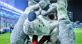 O Lobo está desesperado