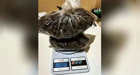 No interior da casa, os policiais encontraram uma grande quantidade de entorpecentes, o equivalente a quase meio quilo