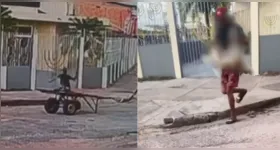 O homem recolheu o corpo do cachorro pelas patas e o colocou no carro de mão logo após o ataque