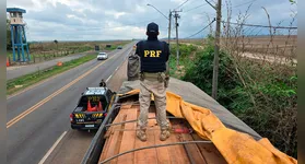 Flagrante de crime ambiental termina com apreensão de caminhão na BR-155