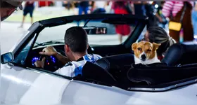 O espaço será transformado em um verdadeiro museu automotivo a céu aberto durante o Garagem Retrô.