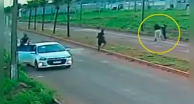 A cena foi interrompida por populares que presenciaram a ação e intervieram para cessar as agressões