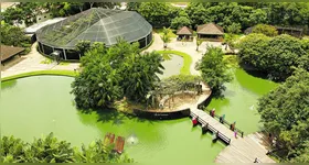 Pontos turísticos de Belém administrados pela Organização Social Pará 2000 prepararam uma programação especial para receber o público durante os dias 6 e 7 de novembro.