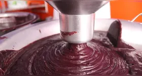 Rico em antioxidantes, o açaí é um dos alimentos da Amazônia que ajudam a fortalecer o leite materno e apoiar o desenvolvimento saudável do bebê.