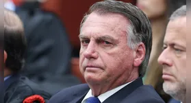 Imagem ilustrativa da notícia "Ainda estou Aqui", "Democracia": os livros para reduzir a pena de Bolsonaro