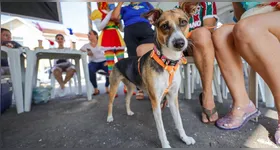 Estação Belém Animal movimentou a Domingueira no Jurunas com serviços gratuitos e cadastro de cães e gatos no SinPatinhas.