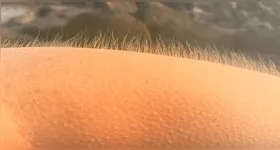 Entenda o que faz você tomar choque ao tocar em algumas pessoas ou objetos.
