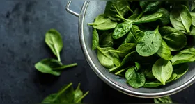 Espinafre é uma excelente escolha para quem busca uma alimentação saudável e equilibrada